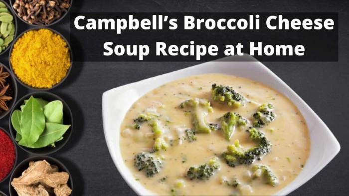 Campbell's cheddar cheese soup recipes broccoli