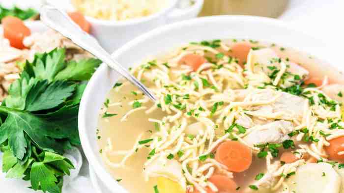 Chicken noodle soup instant pot recipes