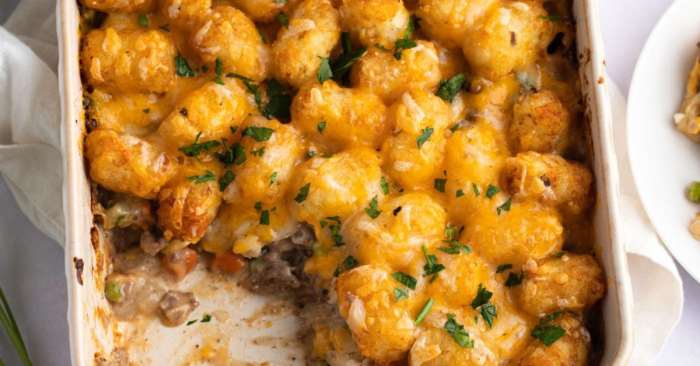 Tater tot casserole recipe with cream of mushroom soup