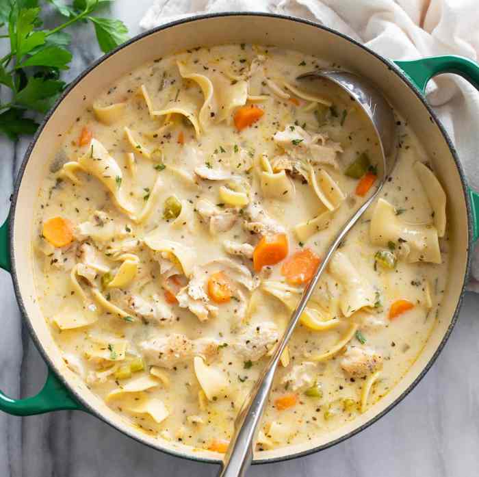 Chicken veg noodle soup recipe