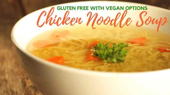 Best gluten free chicken soup recipe