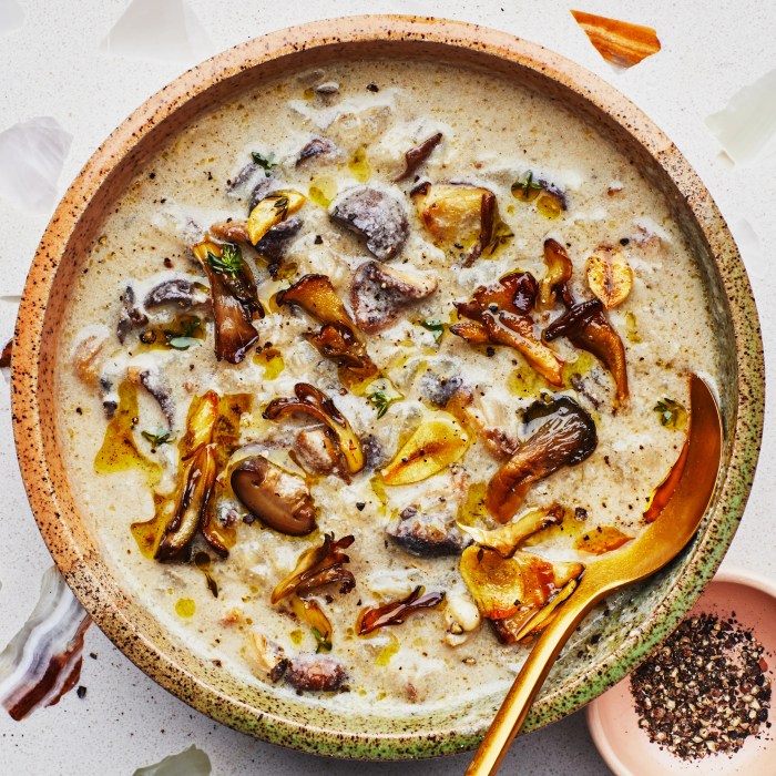 Cream of mushroom soup crock pot recipe