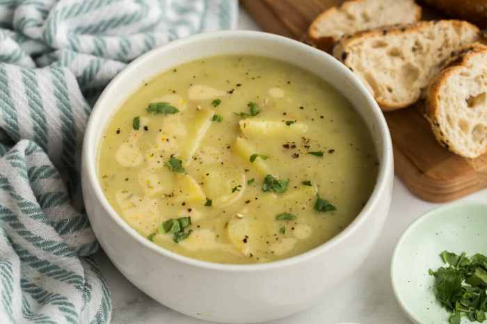 Crockpot potato leek soup recipe