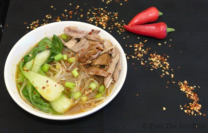 Duck and noodle soup recipe