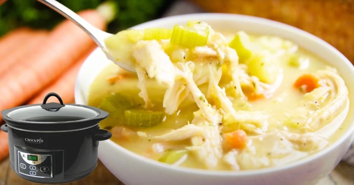 Turkey soup recipe in slow cooker