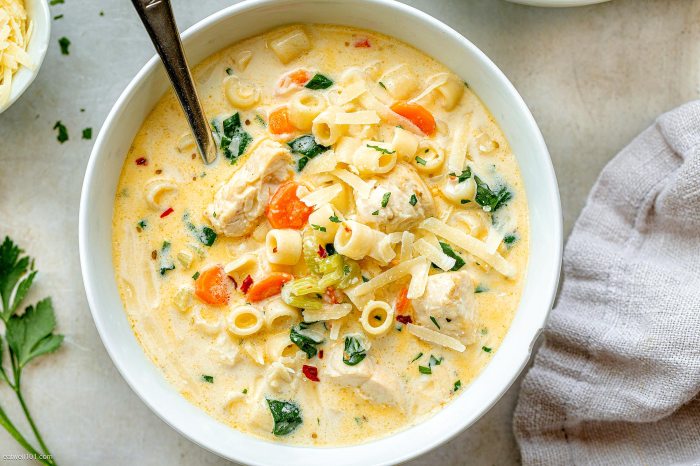 Yummy soup recipes with chicken