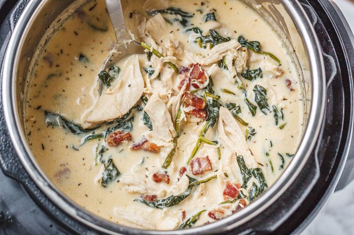 Chicken soup instant pot recipes