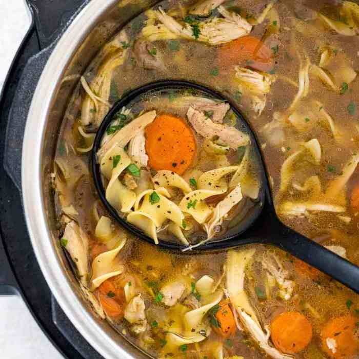 Chicken noodle soup instant pot recipes