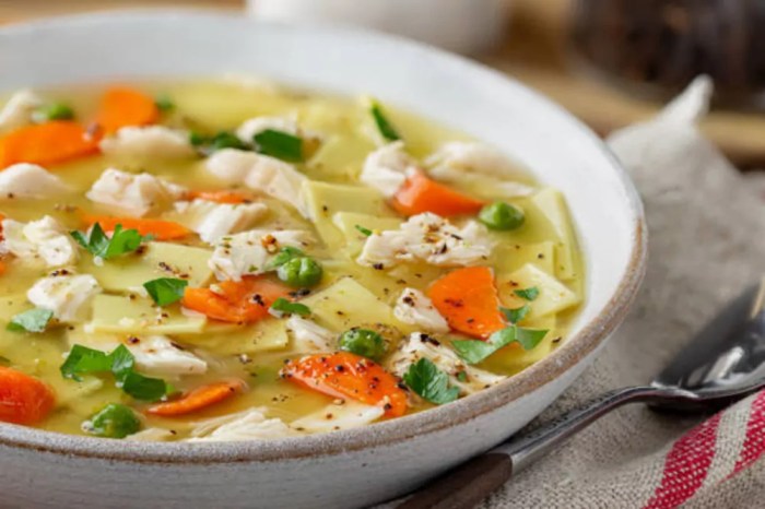 Thick chicken noodle soup recipe