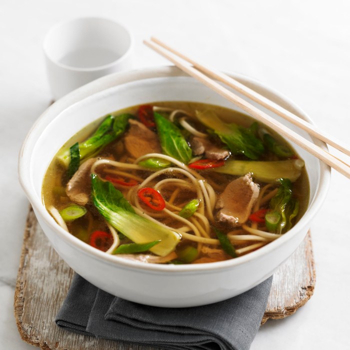 Asiatische served leek noodle weißen kräutern schüssel gedient porree