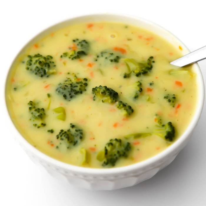 Chicken and cream of broccoli soup recipe